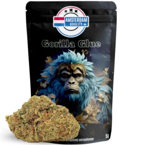 Buy gorilla glue #4 in Paris